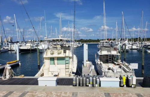 Heart of NPB - Foto 26