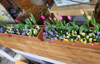 Wohnung in Datteln - Foto 34