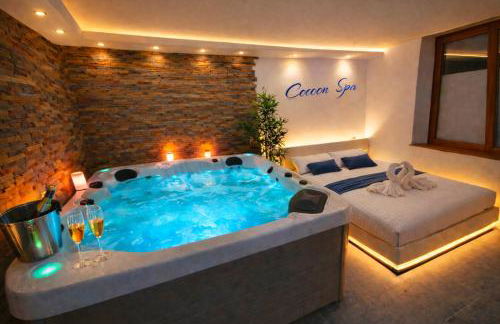 COCOON SPA-4 Pers-Jacuzzi-Parking-Jardin-Clim-Colmar - Foto 1