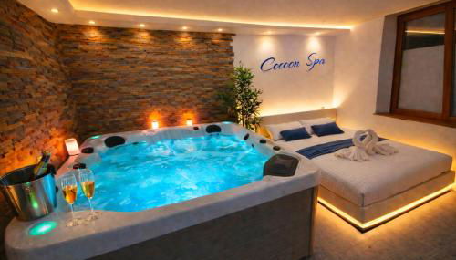 COCOON SPA-4 Pers-Jacuzzi-Parking-Jardin-Clim-Colmar - Foto 1