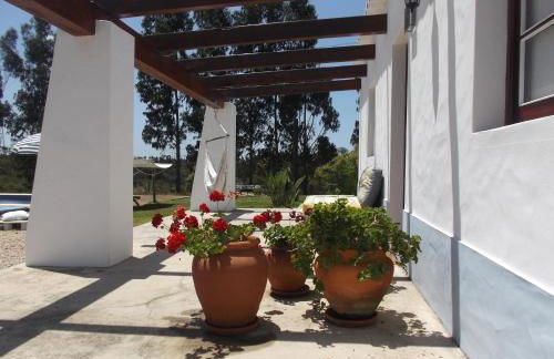 Courela do Salgueiro - Foto 19