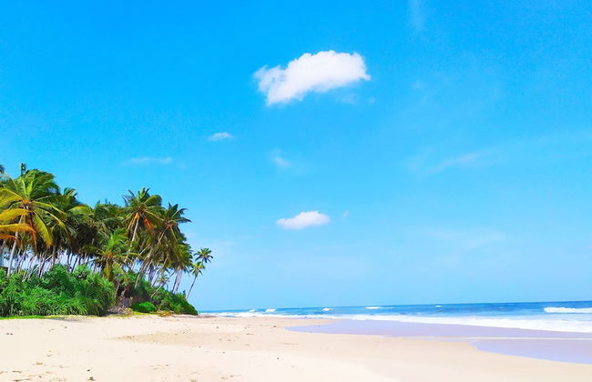 Villa Modara - Photo 49