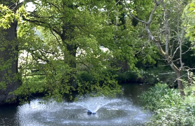 Oastbrook Estate Vineyard - Foto 32