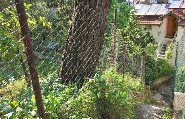 Gungor Apart - Photo 18