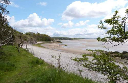 The Potting Shed - Foto 21