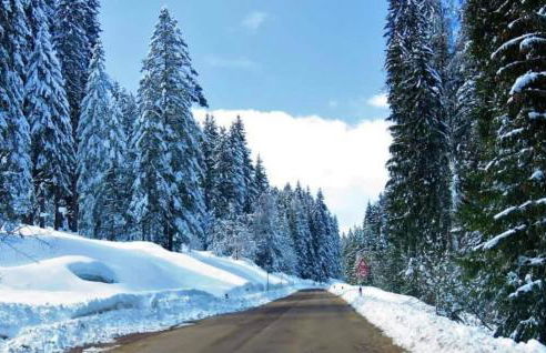 La Tana del Gufetto - Foto 43