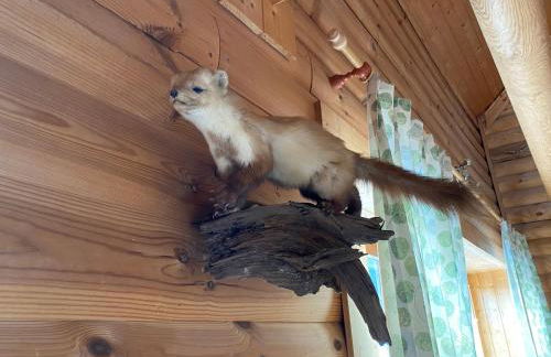 Blockhaus Rennsteig - Foto 18