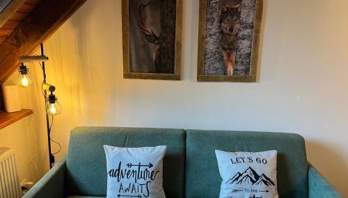 Mandi Mandi in pista - Foto 3