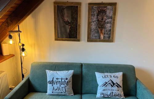 Mandi Mandi in pista - Foto 3