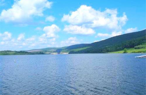 Secluded Cabin Nestled in the Mountains near the Tioga State Forest, Pennsylvania - Foto 8