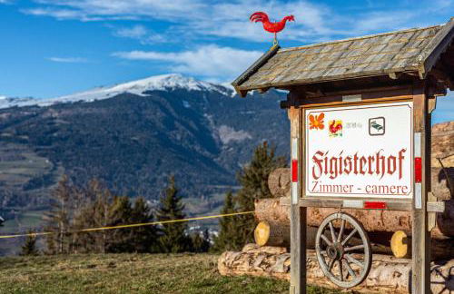 Figisterhof - Photo 32