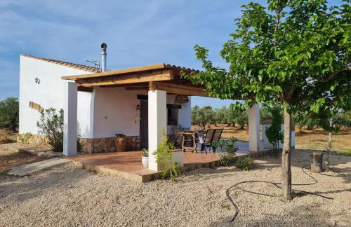 Lo raconet 2 - Foto 4