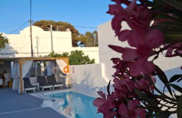 Alloro Perissa - Foto 59