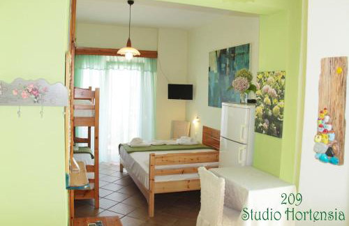 Fasoli Studios - Foto 42