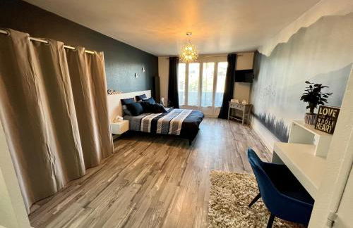 Cocon proche CHU-EMAILLEURS - Foto 1