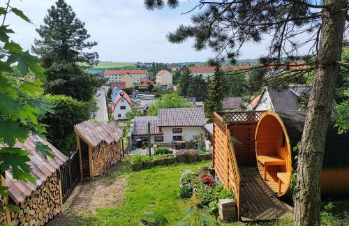 Große Reblaus - Wohnen im Weinberg in der Toskana des Nordens - Foto 18
