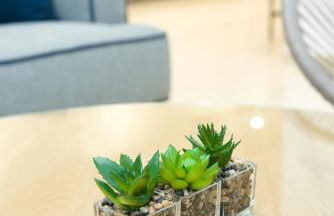 Coin Premium San Cristobal - Photo 17