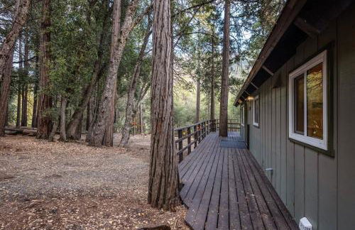 Trout River Cabin - Cozy Quiet Peaceful Retreat - Foto 23