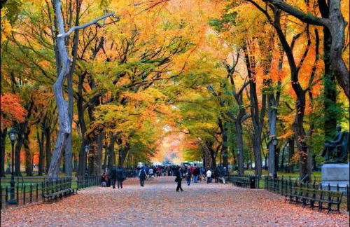 Modern 3BR Near EWR, Parking, 25 Min NYC - Foto 37