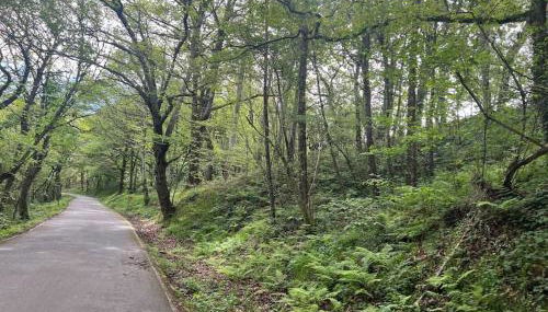 El rincón del Rosal 15B08 by R2R Consulting - Foto 4