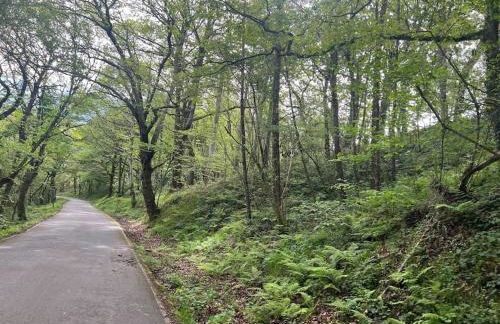 El rincón del Rosal 15B08 by R2R Consulting - Foto 4