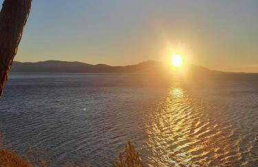 Rural house Janjić - Foto 37