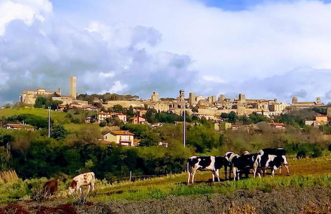 Agriturismo Il Poderino - Foto 20