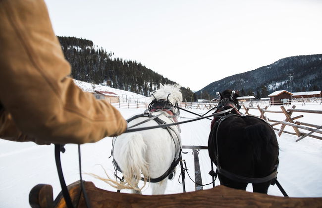 320 Guest Ranch - Photo 49