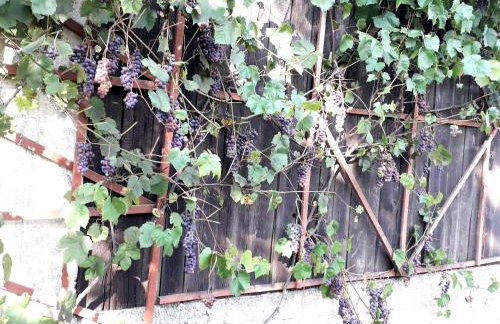 Apartament w Oklinach - Foto 30