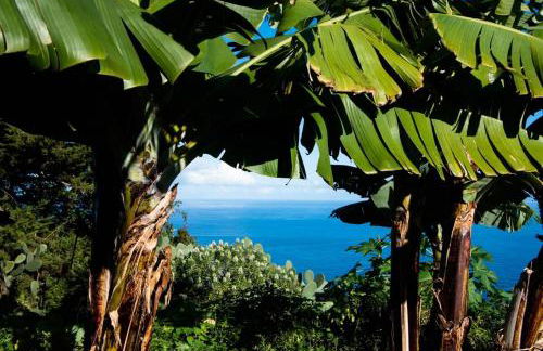 CASAS EN FINCA ECOLÓGICA LA ESPIRAL, NATURALEZA, CALMA Y VISTAS al MAR, - Foto 45