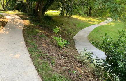 Ferienhaus Fischerhaus - Ruhe und Natur an der Dordogne - Foto 48