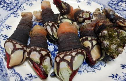 Laurus - Charming House - Foto 37