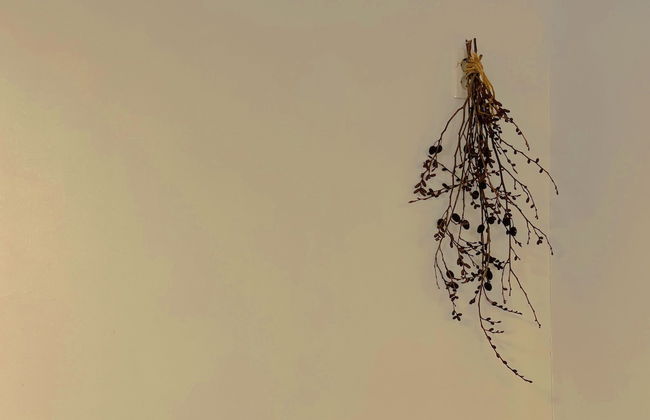 Baraquera Hotel - Foto 61