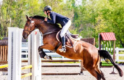 Lake Views at The Shores Great Location - Foto 19