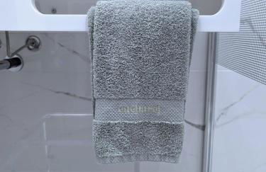 VENI VEDI VICHY climatisé, 50m2 coeur de ville - Photo 30