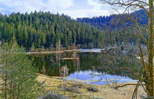 Traumhafte Maisonette-Wohnung im Schwarzwald - Foto 42