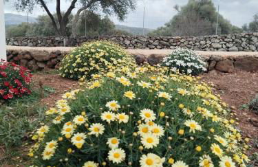 LA CROISETTE Agriturismo - Farmhouse - Foto 39