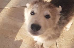 Il Praedio Della Reale - Foto 6