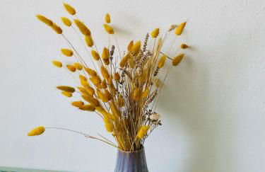 Apartment La Sera - Agriturismo CasaViVa - Foto 22