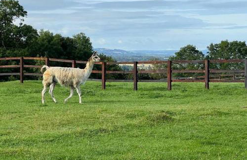 Luxury cottage with Hot Tub - Foto 26