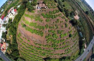 Finca Mamposo - Foto 4