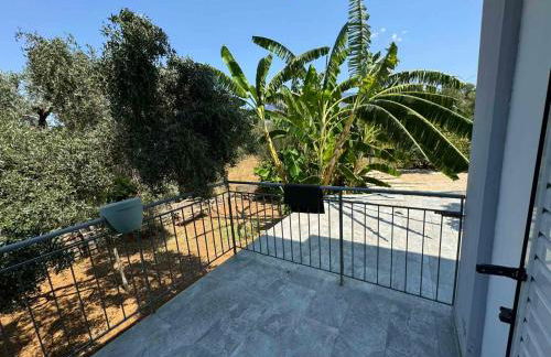 Alexander apartments - Foto 11