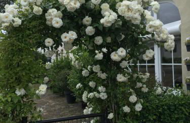 Eifel-Moezelhuis - Foto 1