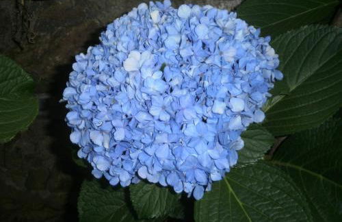 Mirsini Apartments - Foto 28