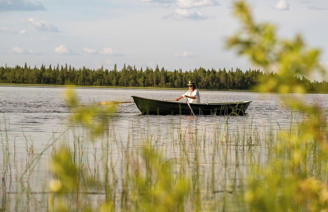 Metsä Kolo - Foto 39