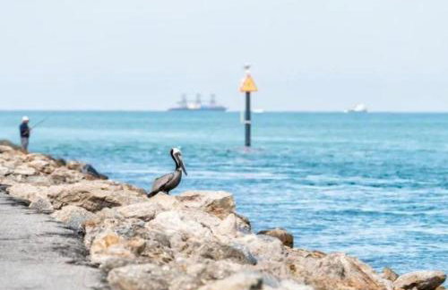 1BR Venice home with private beach access - Golden Beach Haven - Foto 27