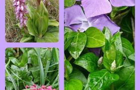 LA GARDE ADHEMAR, L'escalier Médiéval - Photo 74