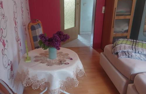 Zimmer und Apartment Rosi - Foto 69