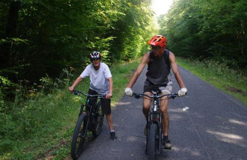 LE JABLOIRE - Foto 46