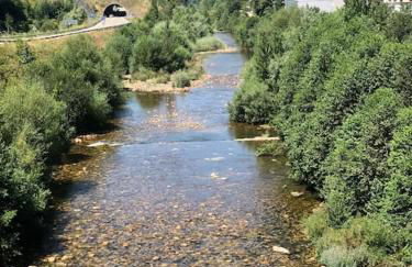 La Casina Del Alce - Foto 49